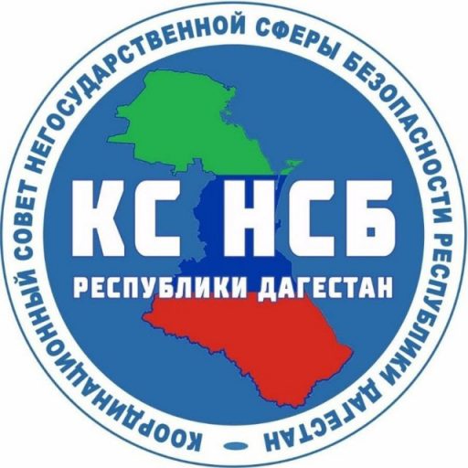 О Координационном совете негосударственной сферы безопасности Республики Дагестан